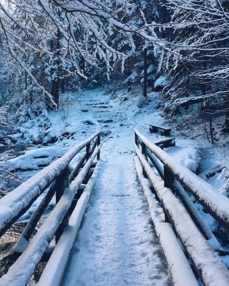 Photograph by Daria Nazarenko