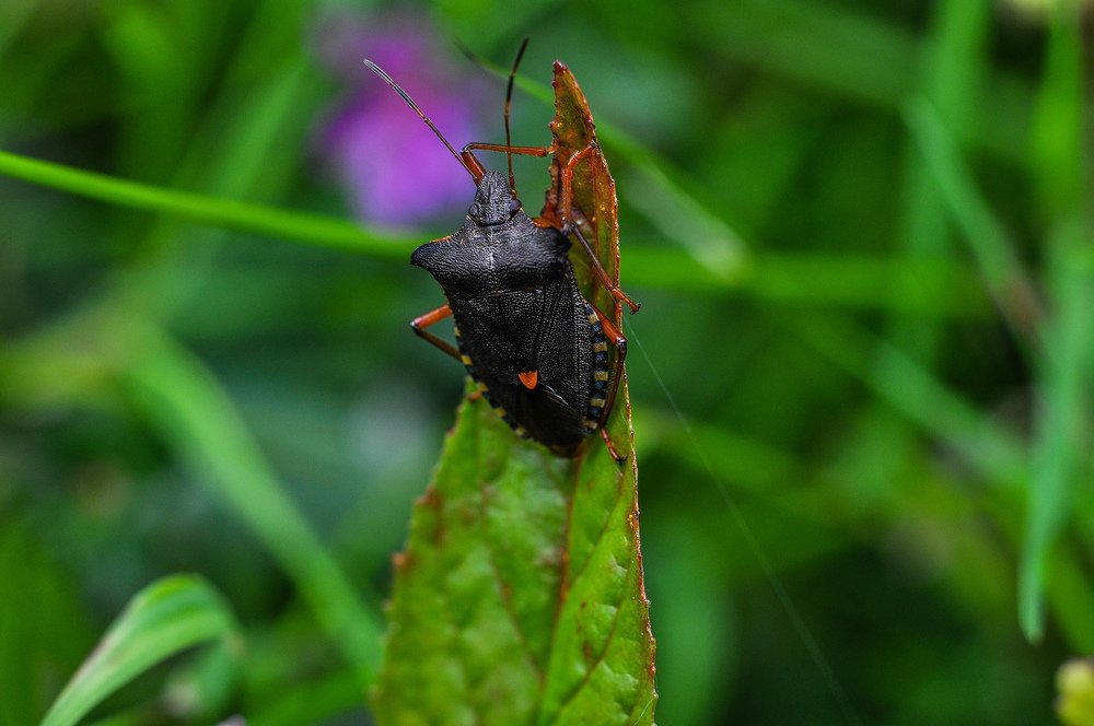 Photograph by Олеся zme