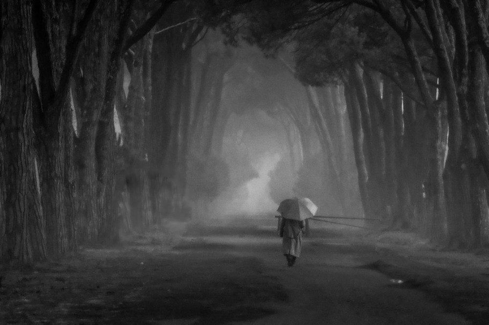 Фотография автора Michele Trombella