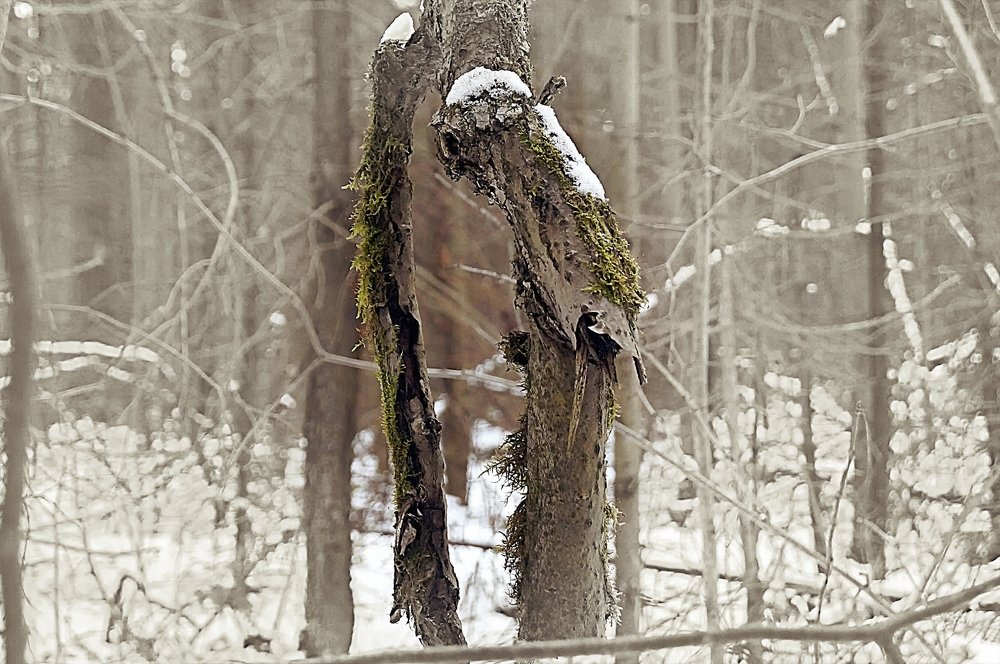 Преклонный возраст, как жизнь по канату.