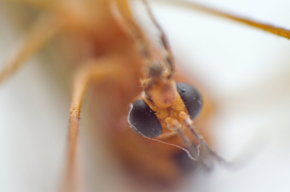 Photograph by Денис Ершов