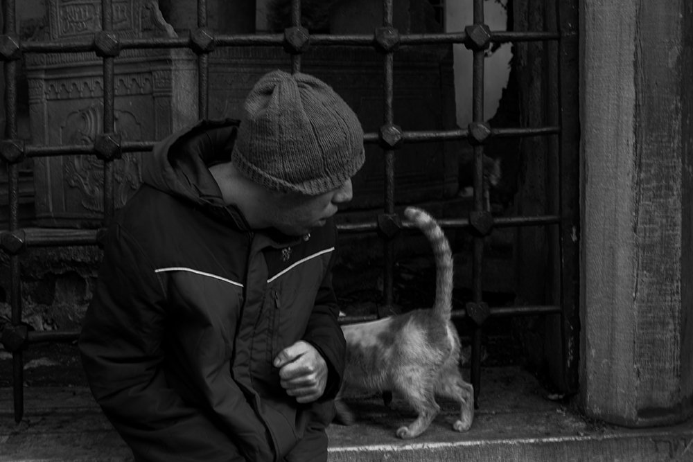 Photograph by shadi Alibolandi