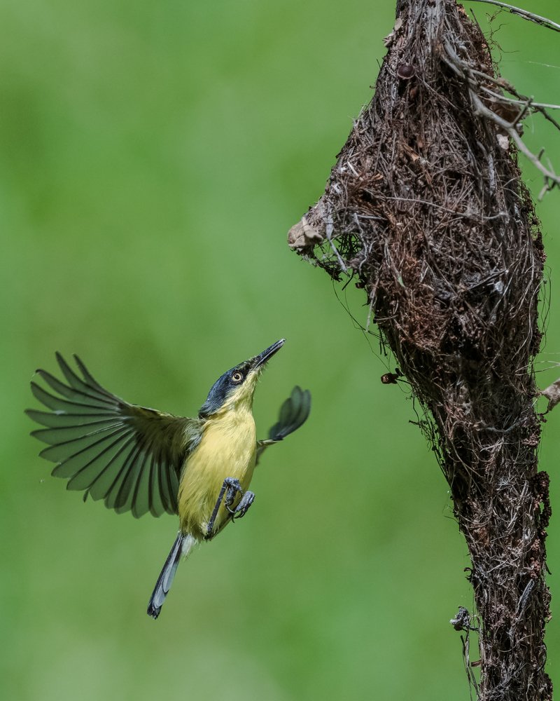 Photograph by Rafael Maffessoni