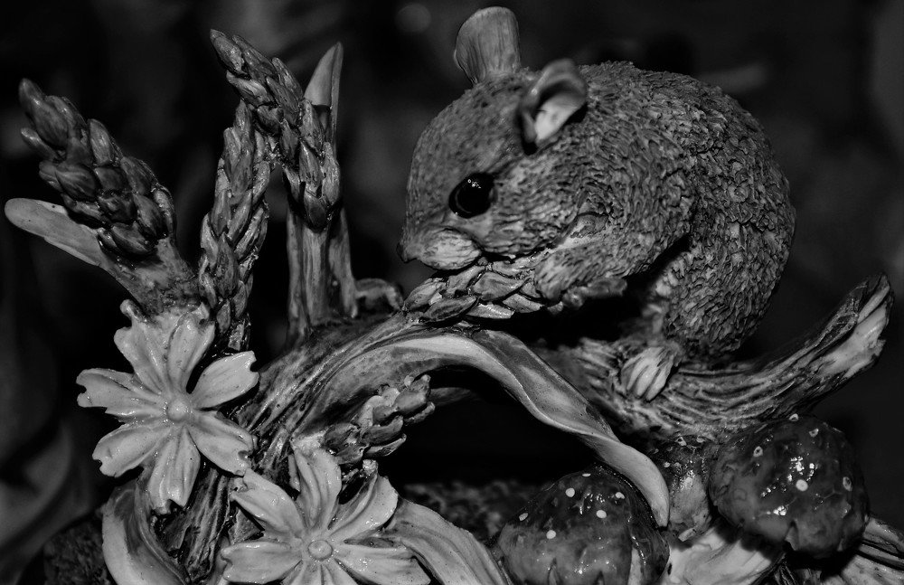 Photograph by Patrycja