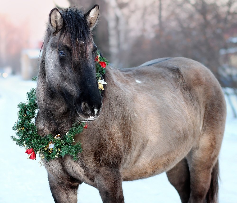 Photograph by Галина Щурова