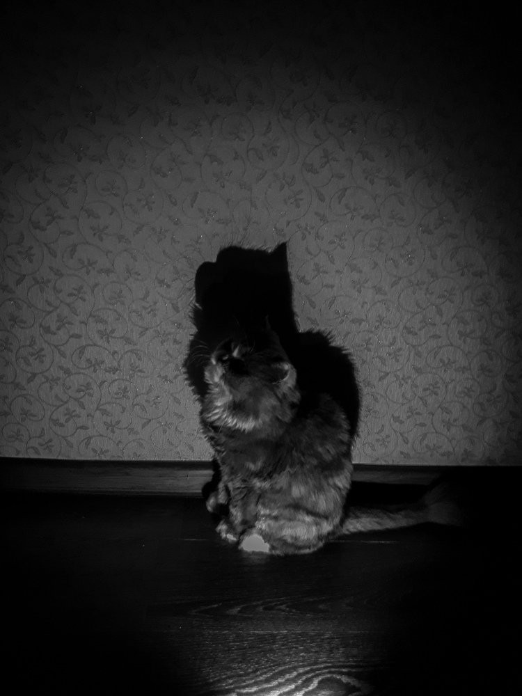 Photograph by Анна Кабиева