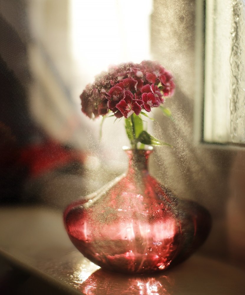 Photograph by Александра Пургаева