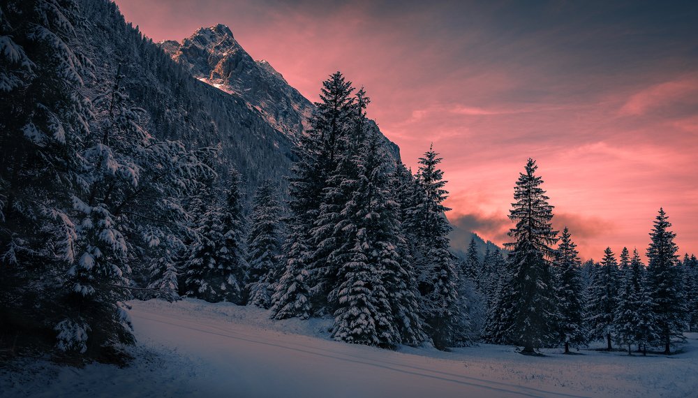 Photograph by Gialopoulos