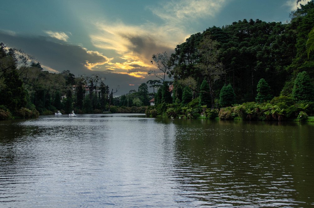 Photograph by Eduardo Añon
