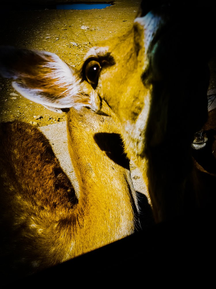 Photograph by Gabriella Sicurello