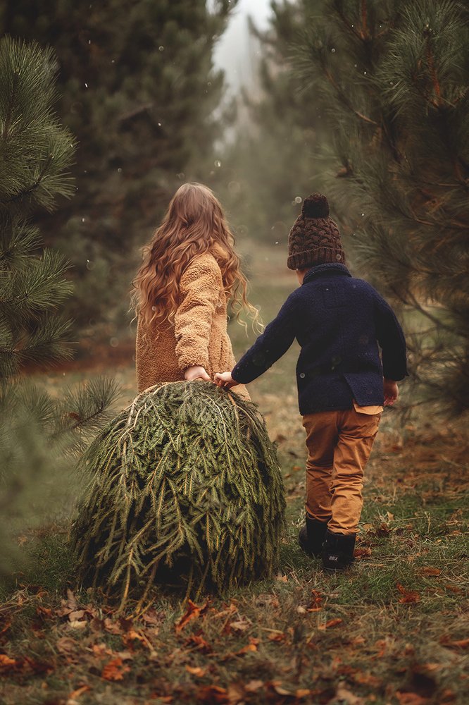 Photograph by Екатерина Горынина