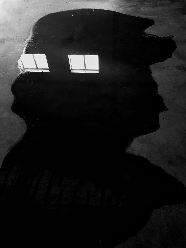 Photograph by mohammad fotouhi