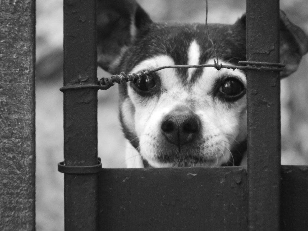 Photograph by Cristina Bosio Ferrer