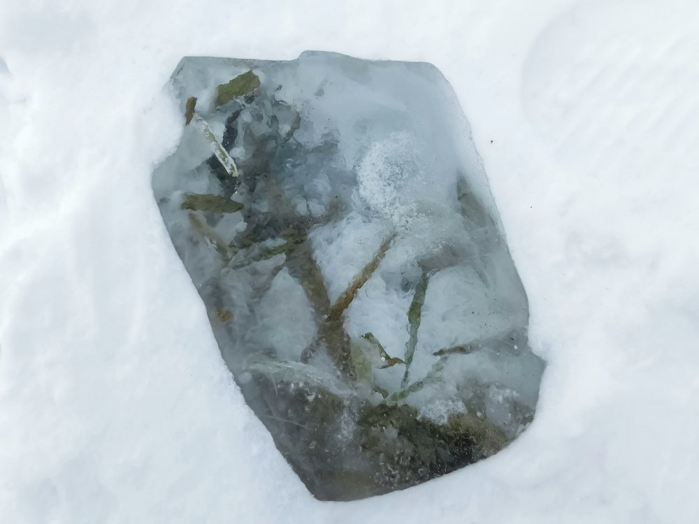 Рисунок на льду