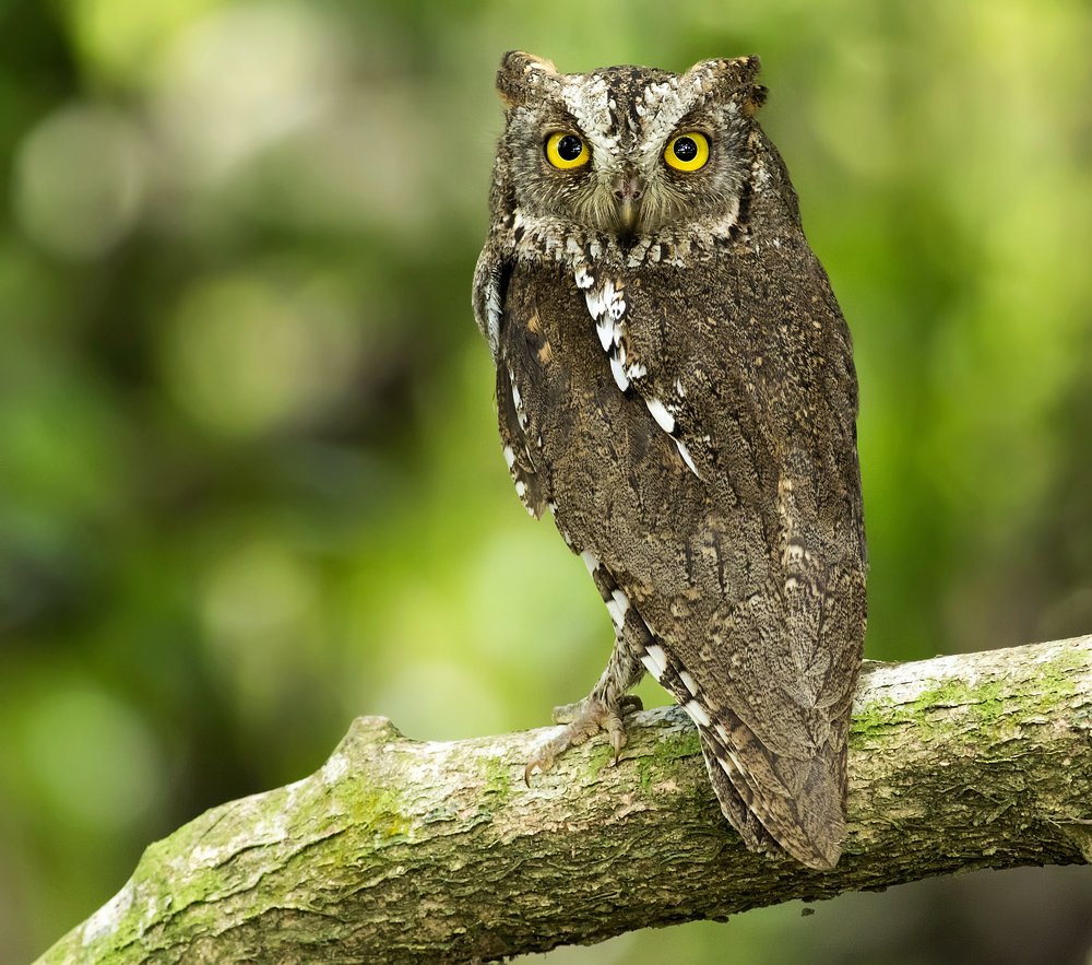 Photograph by TIAN CHING TAN