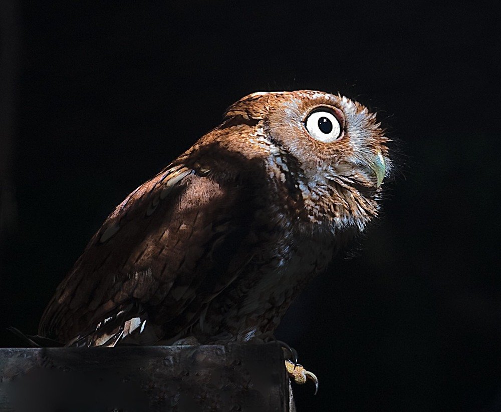 Фотография автора andrey gagarin