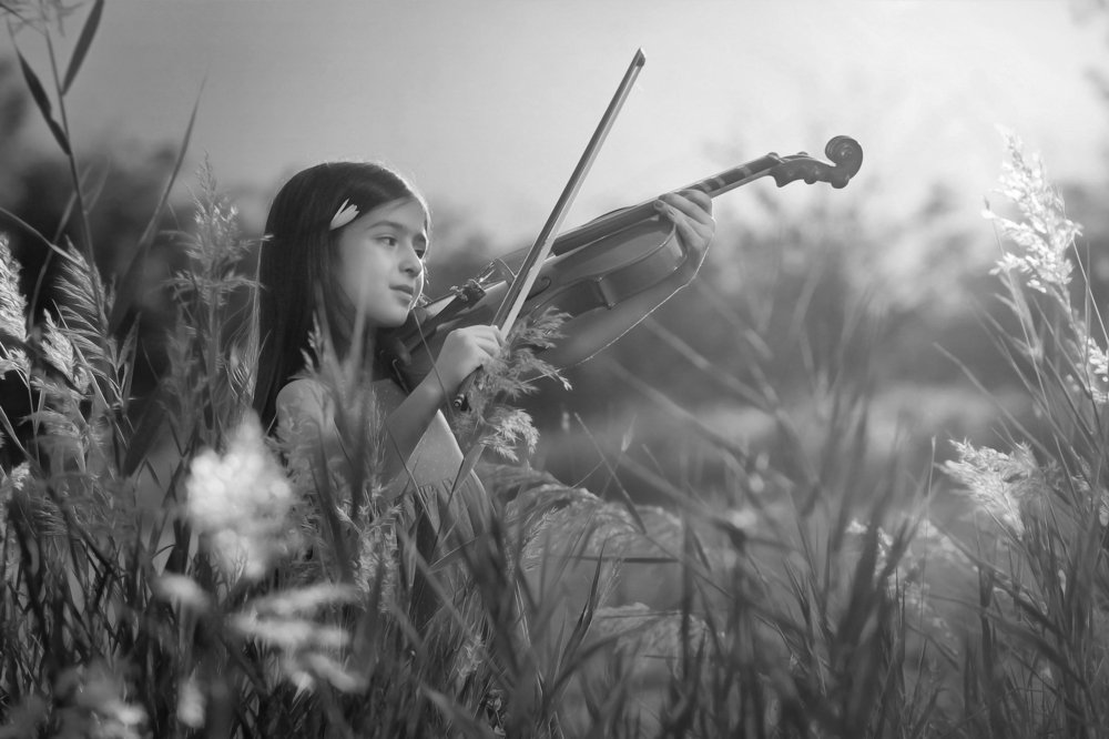 Photograph by mohsen mikaeili