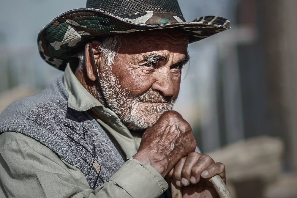 Photograph by mohsen mikaeili