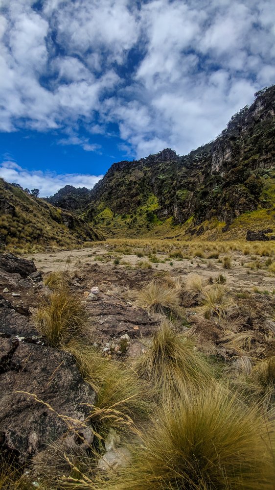 Photograph by Bellamy Fery