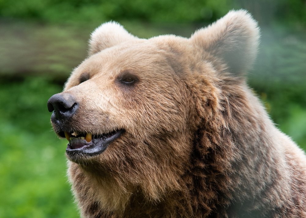 Photograph by Татьяна Бохан