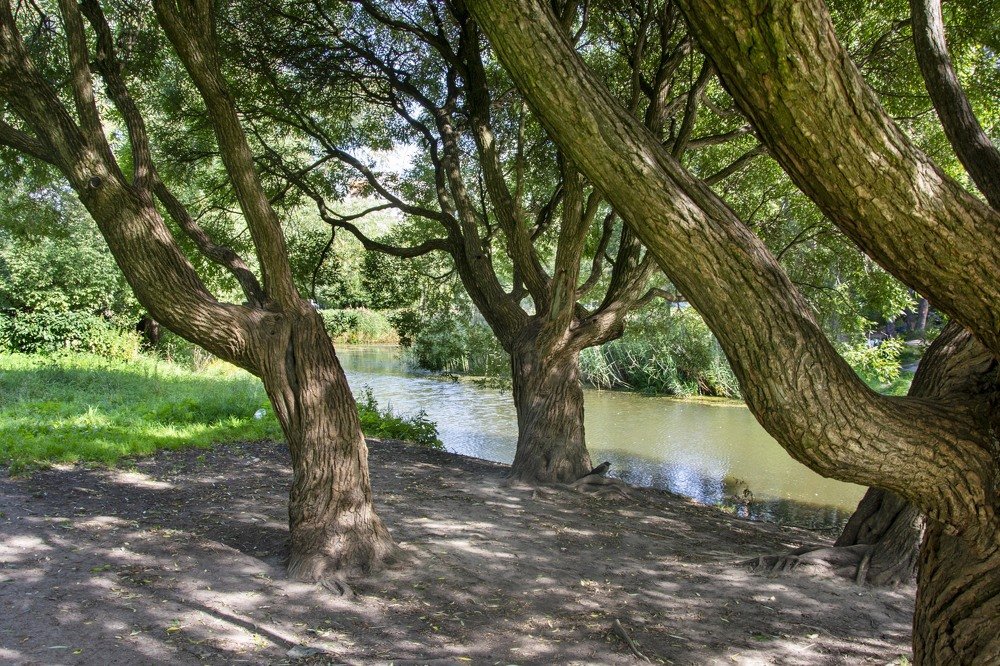 Фотография автора игорь Громов