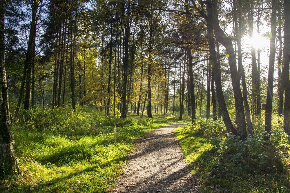 Фотография автора игорь Громов