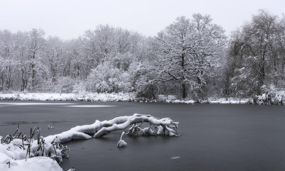 Photograph by Антон Литвин