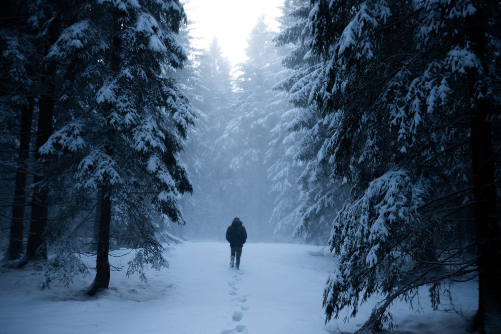 Photograph by Jernej Peljhan