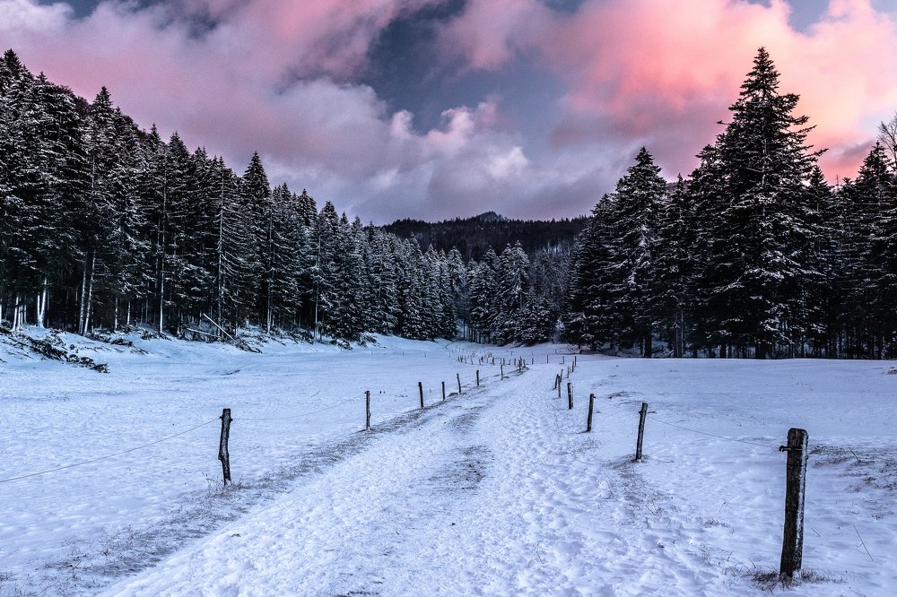 Photograph by Jernej Peljhan