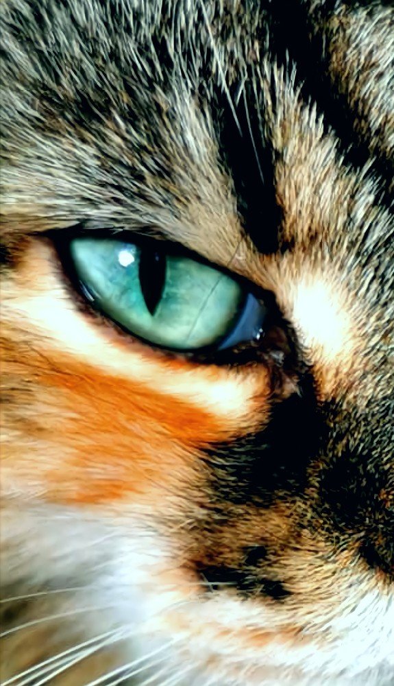 Photograph by Елена Артёменко