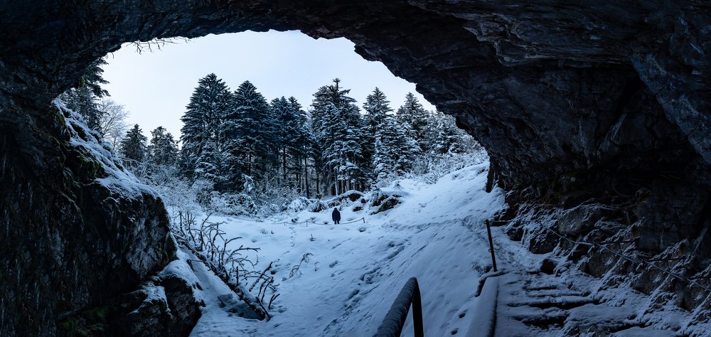 Photograph by Jernej Peljhan