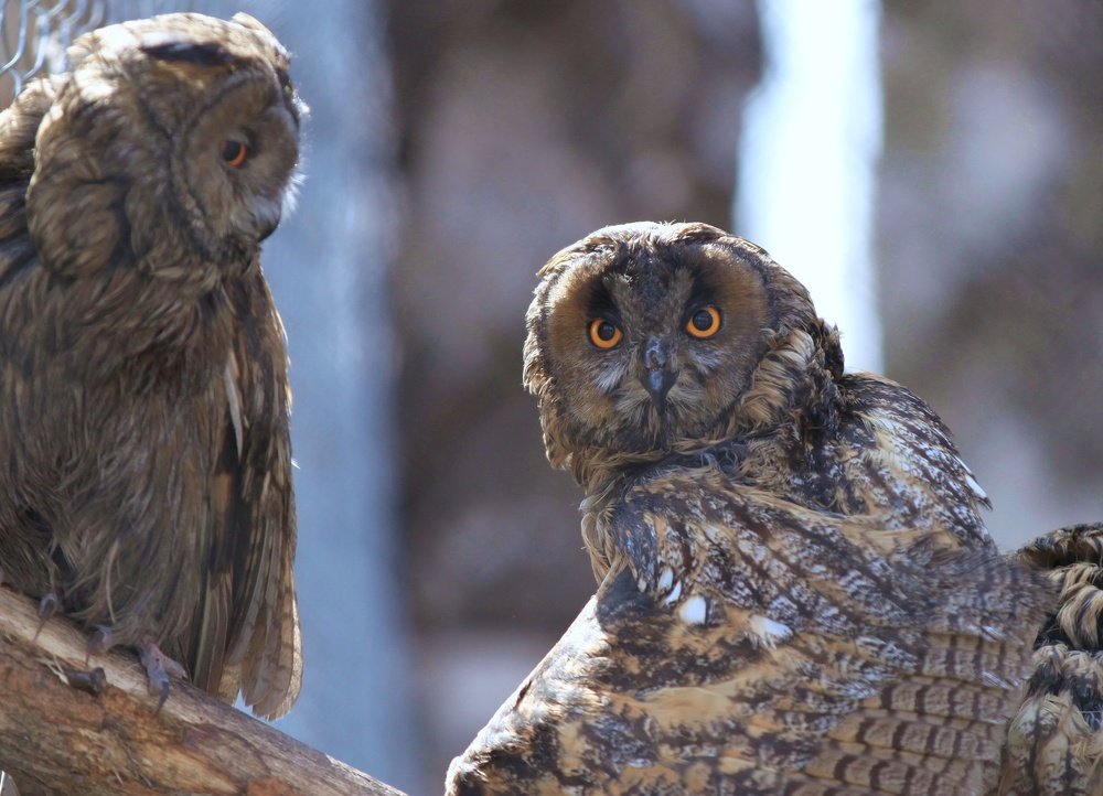 Photograph by Gennady Antonov