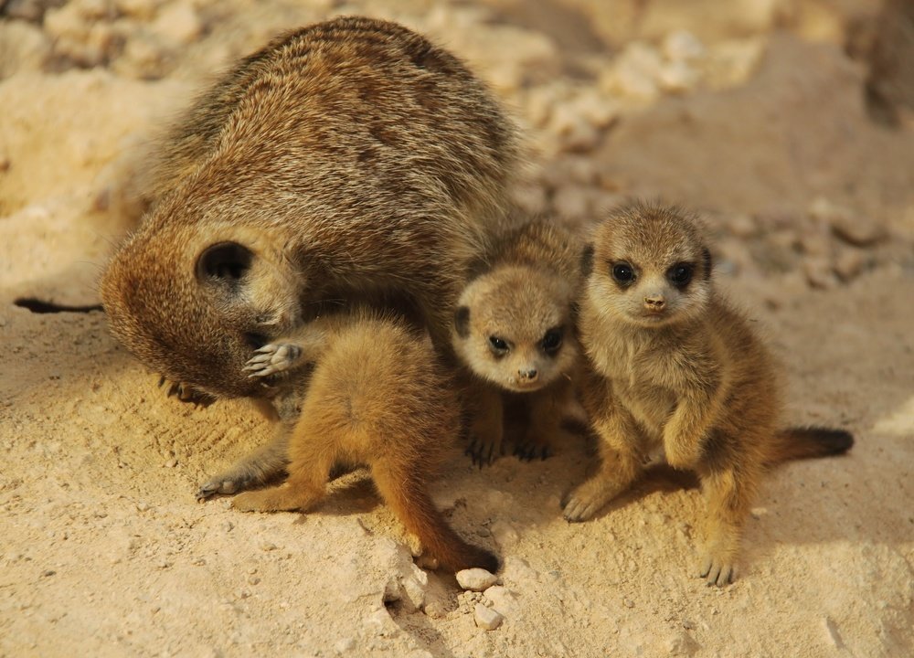 Photograph by Gennady Antonov