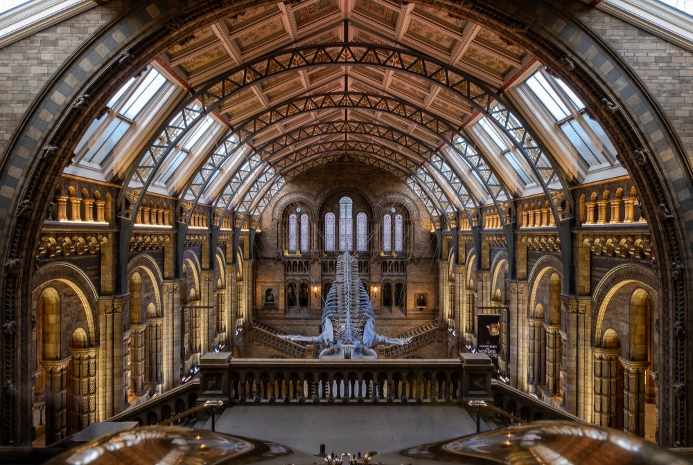 Photograph by Stevie