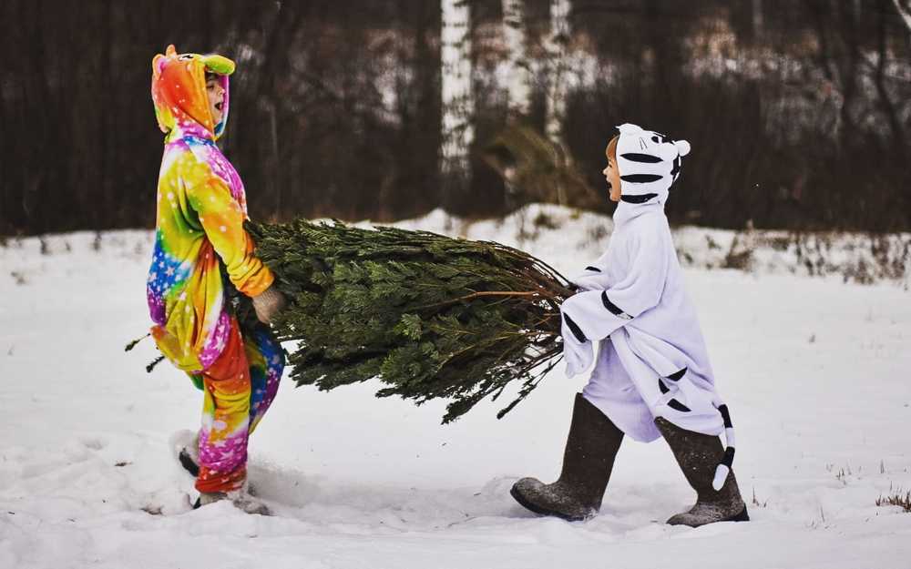 Photograph by Анна Муковозова