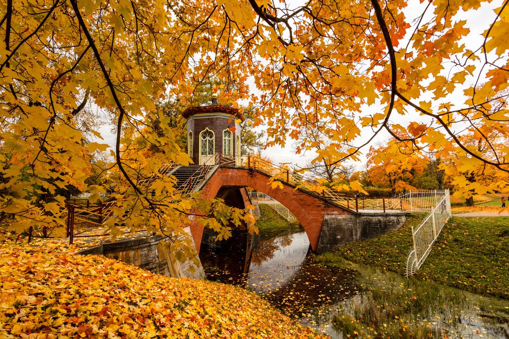 Photograph by Илья Юфа