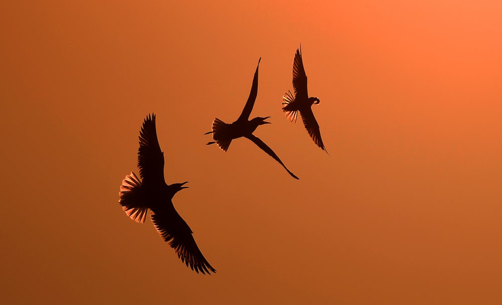 Photograph by Yuwaraj Gurjar