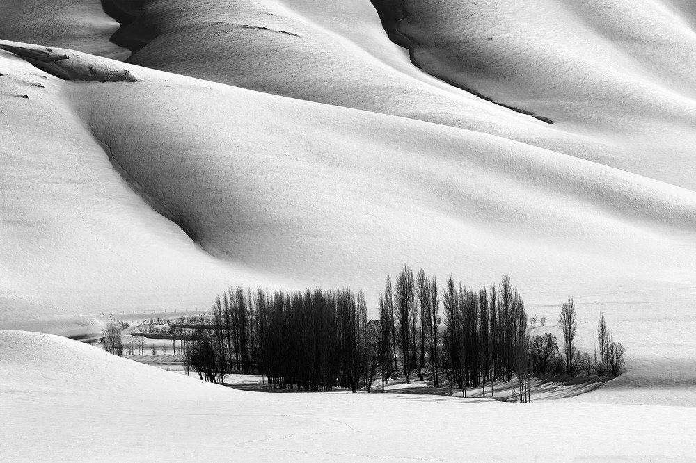 Фотография автора ehsan jazini