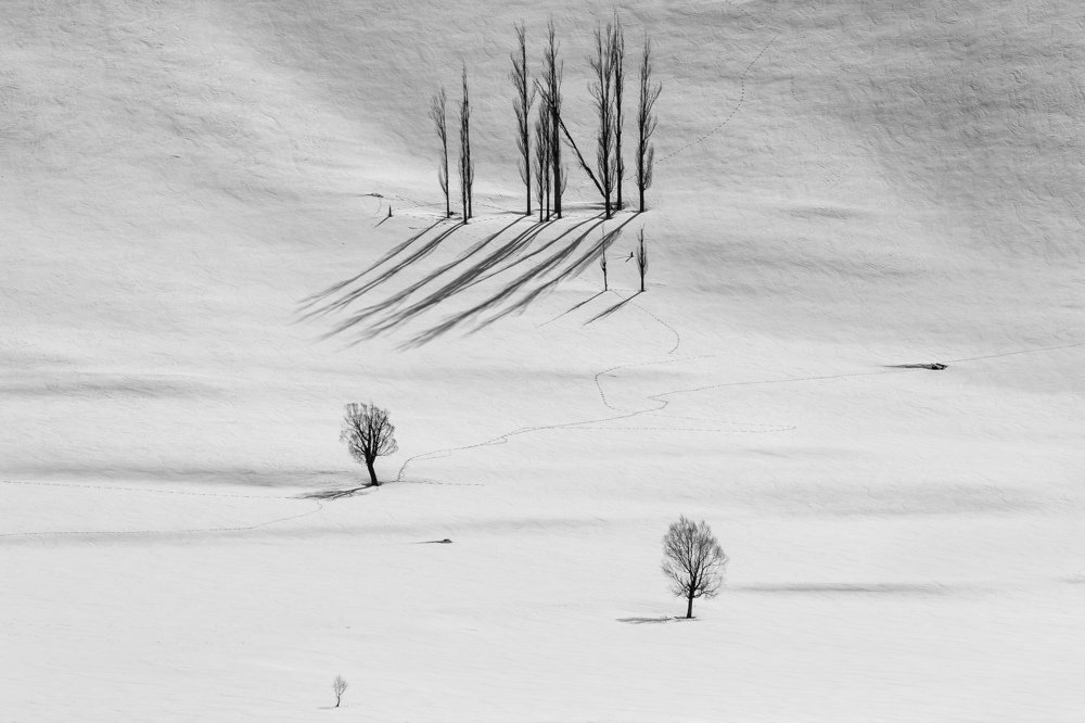 Фотография автора ehsan jazini