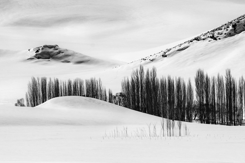 Фотография автора ehsan jazini