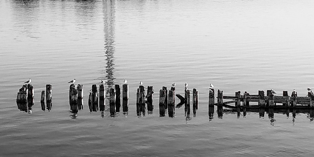 Photograph by Sofya Seredkina