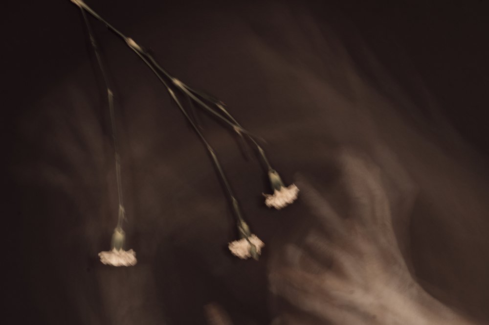 Photograph by Ирина Секачева