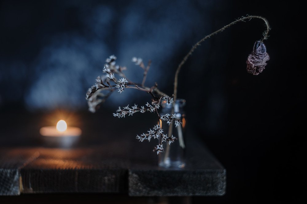 Photograph by Владимир Тузлай