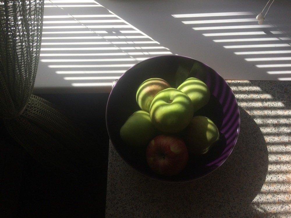 Photograph by Фролова Альфия