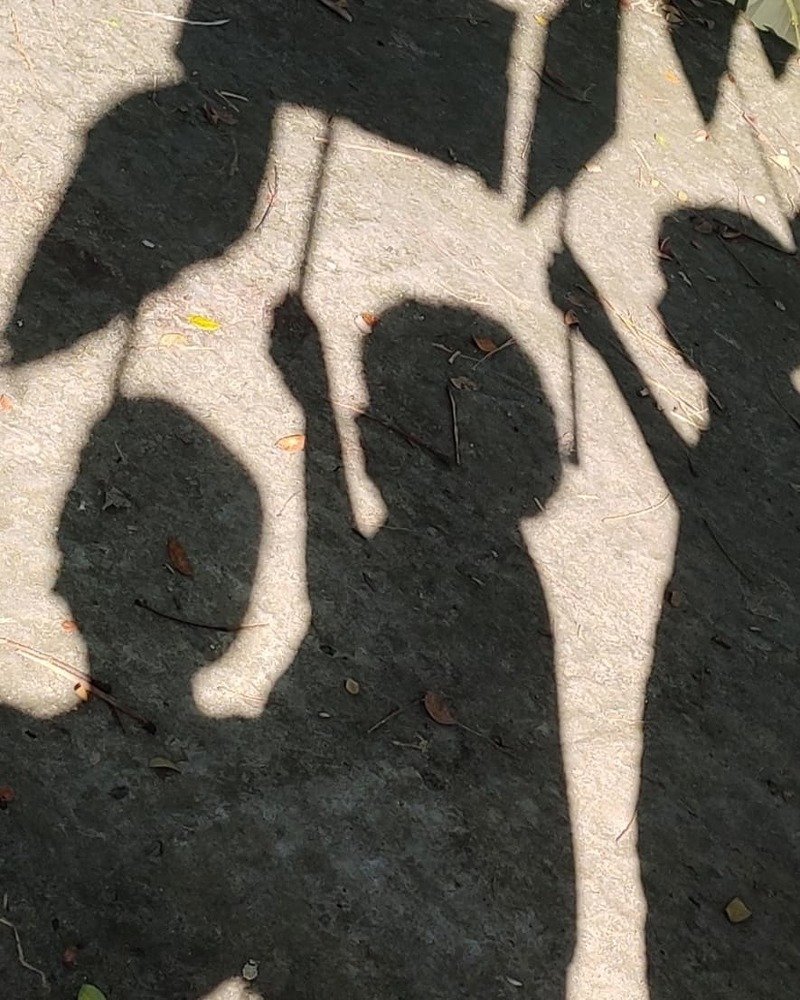 Фотография автора Saptaparna Mukherjee