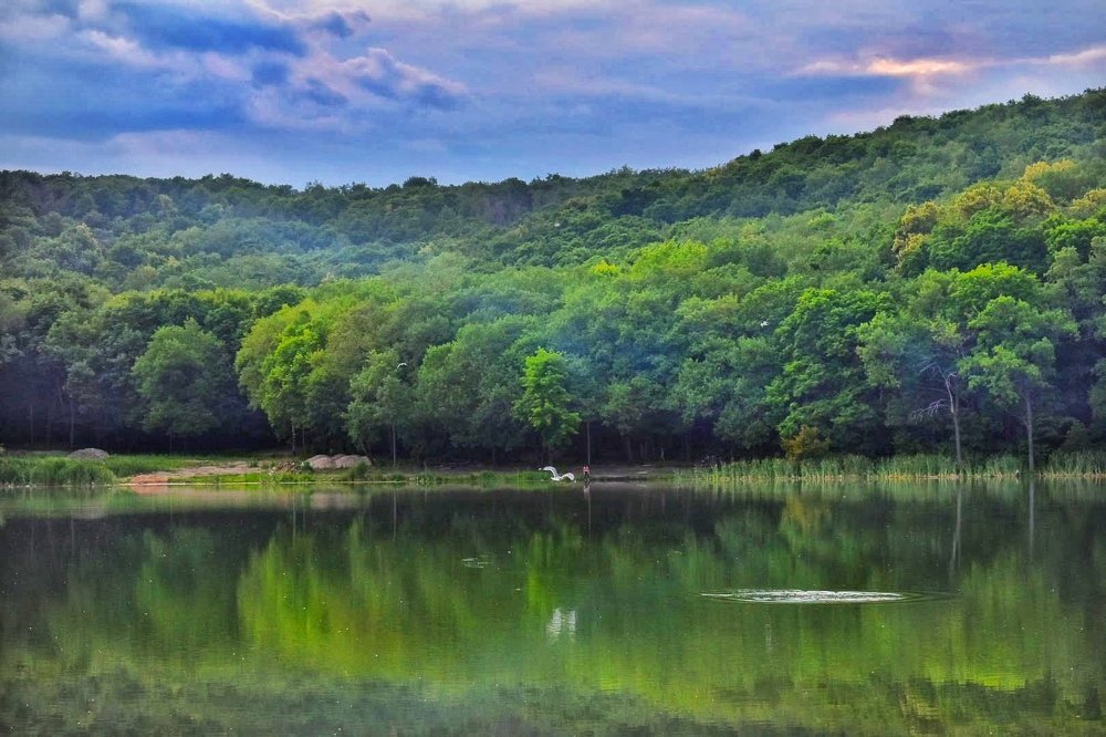 Photograph by Евгения Инютина