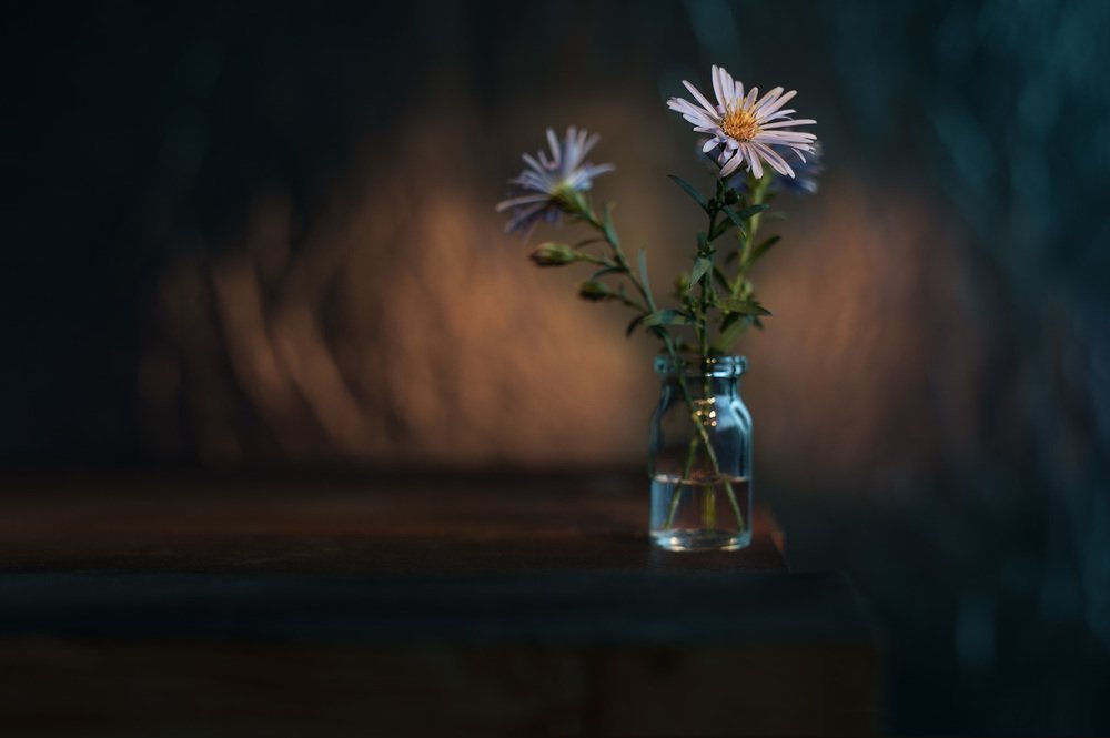 Photograph by Владимир Тузлай