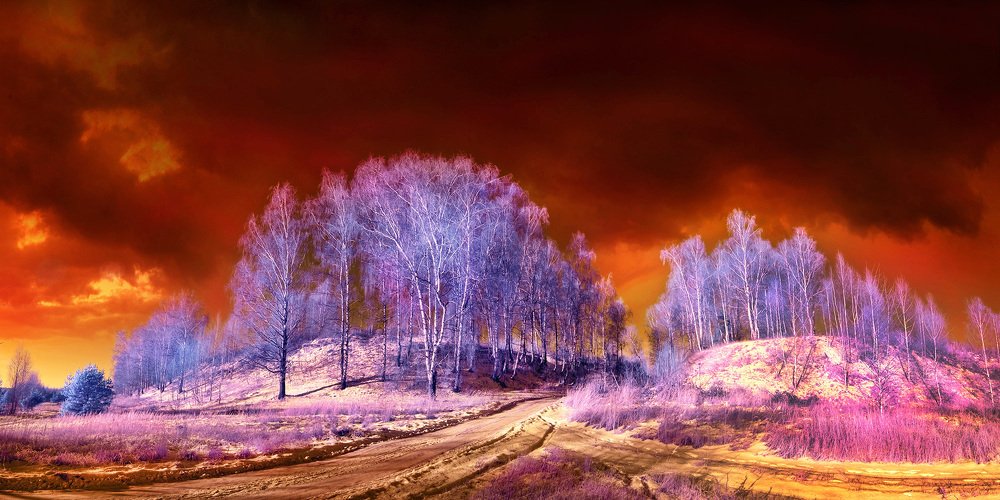 Пейзаж в ИК диапазоне