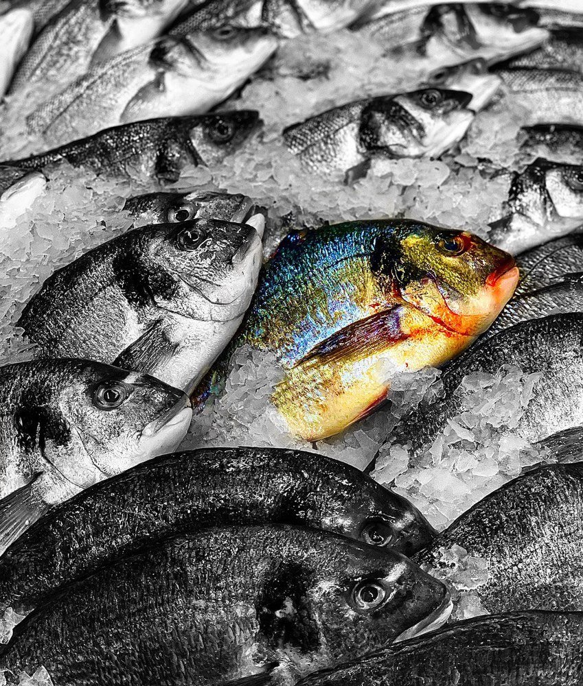 Рыбный день