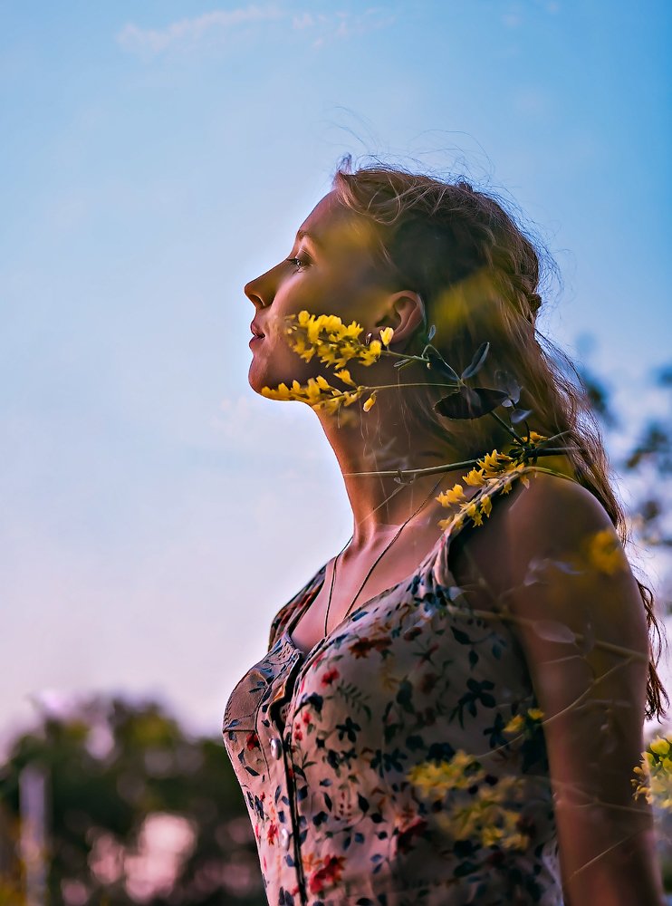 Фотография автора Дарья Шевченко